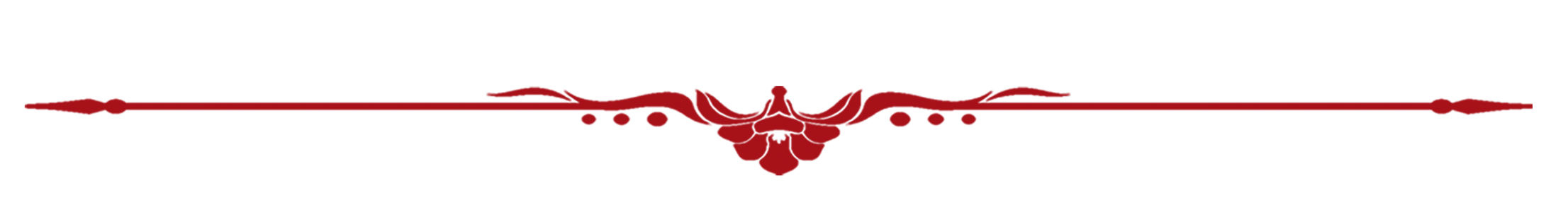 красная линия для топика.png