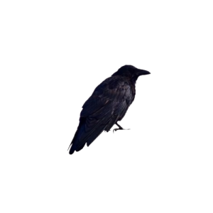 _ᅠᅠ__ᅠ𓈓_____𝖥꯭ۣ𝖠꯭𝖢꯭ۣ𝖪꯭ᅠ꯭ᅠ꯭ۜ䌲ۣۢ_______ᅟ-removebg-preview.png _ᅠᅠ__ᅠ𓈓_____𝖥꯭ۣ𝖠꯭𝖢꯭ۣ𝖪꯭ᅠ꯭ᅠ꯭ۜ䌲ۣۢ_______ᅟ-removebg-preview.png