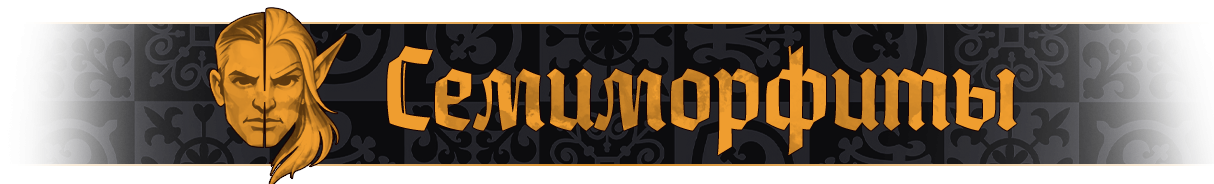 Полуэльфы название.png