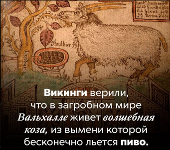 1770808022065.png 1770808022065.png