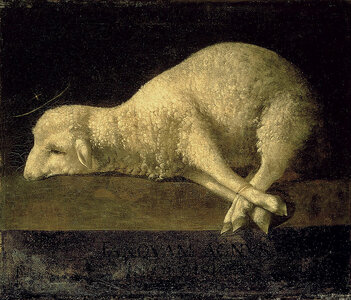 Francisco_de_Zurbarán_-_Agnus_Dei_-_Google_Art_Project.jpg