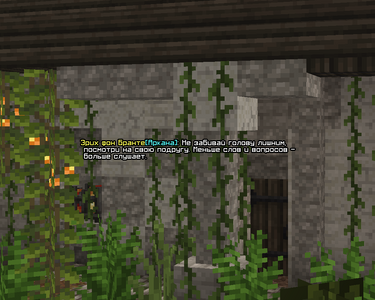 mirgl4.png mirgl4.png