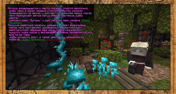 Грядка3 копия.jpg