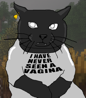 кот в футболке.png