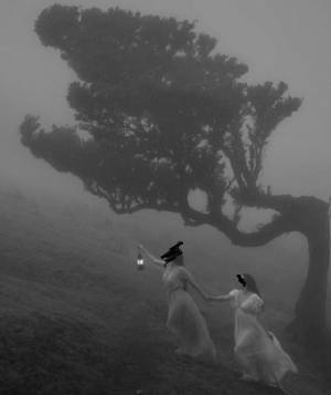 5 изображение.png