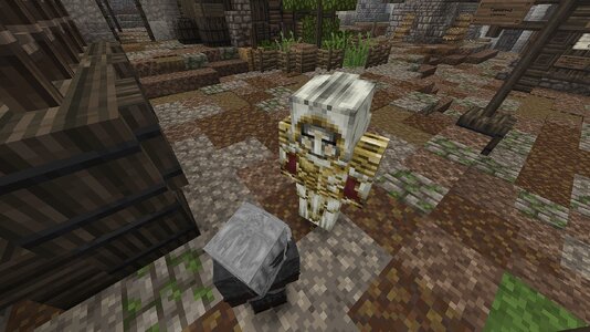 compressed_image (12).jpg