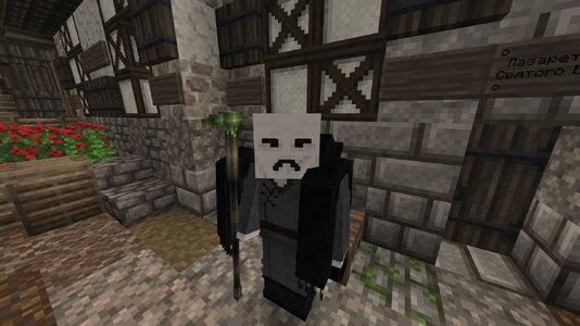 compressed_image (14).jpg