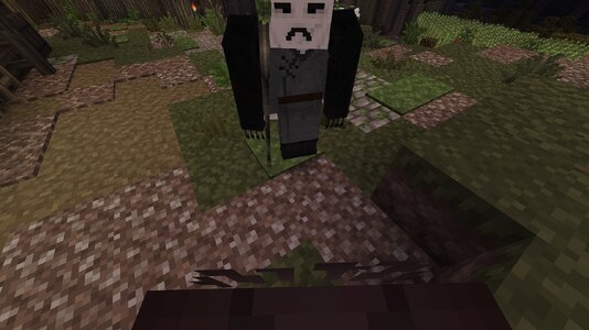 compressed_image (20).jpg