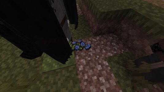 compressed_image (21).jpg