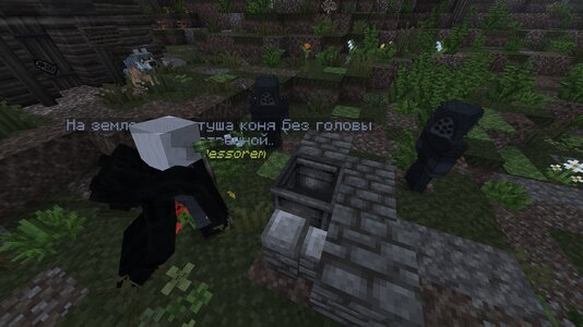 compressed_image (27).jpg