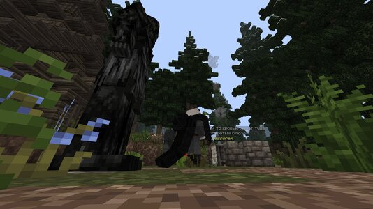 compressed_image (26).jpg