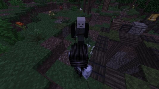 compressed_image (41).jpg