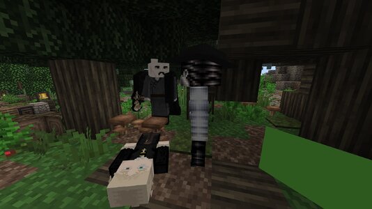 compressed_image (42).jpg