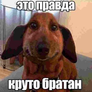 5b2a2d87acd55d538ebbc46163477a9d.jpg 5b2a2d87acd55d538ebbc46163477a9d.jpg