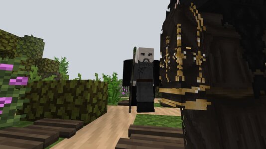 compressed_image (87).jpg