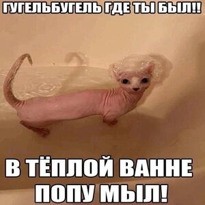 iwxToH81f38ZBdiIvbnAnS45Fbyq9WscSSxYz-8vfYPaHP8Pl2jbry4qoRwa84-aAf9AnWVcb4CQ8YA4udXM2TxU.jpg iwxToH81f38ZBdiIvbnAnS45Fbyq9WscSSxYz-8vfYPaHP8Pl2jbry4qoRwa84-aAf9AnWVcb4CQ8YA4udXM2TxU.jpg