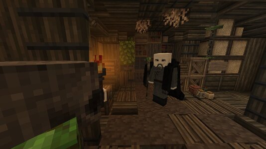 compressed_image (88).jpg