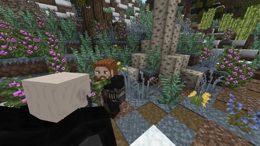 compressed_image (93).jpg
