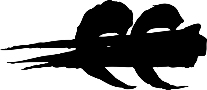 1778408171986.png