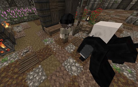 compressed_image (99).jpg