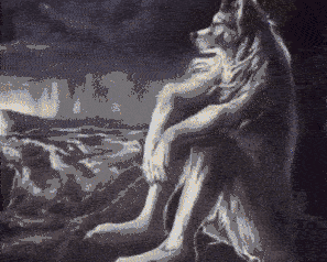 wolf-alone (1)_compressed.gif