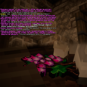 1.1.png 1.1.png
