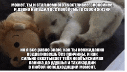 ssstik.io__idk077643_1779647889885(3).gif