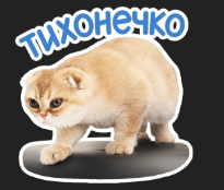 1779981195238.png