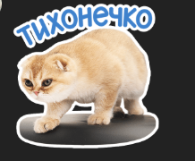 1779988170533.png