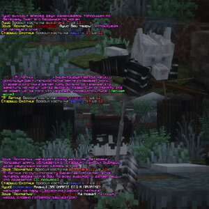 CC9.jpg