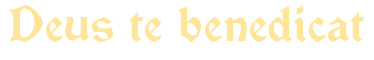 text.png