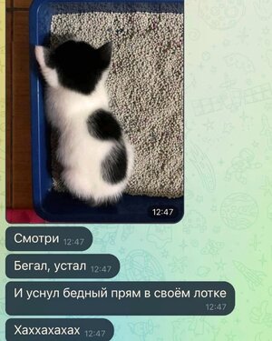 k1Xg_V1MvMPPDYKoDfy0cS2sFsYXeDUCwUrGUxSA05iCXAdR77zxUXjdVVj6wQvkomtVgRv2J6Xzc__aGjOg-dqW.jpg