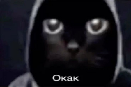 1780835742402.png 1780835742402.png