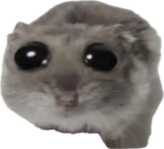 1780874297771.png 1780874297771.png