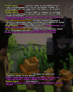 13.png
