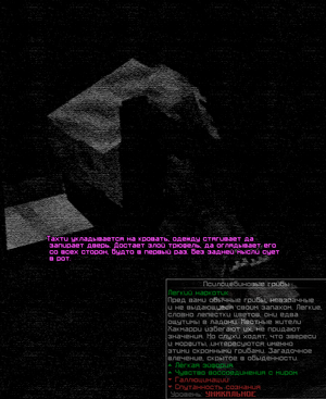 ГРИБЫ.png
