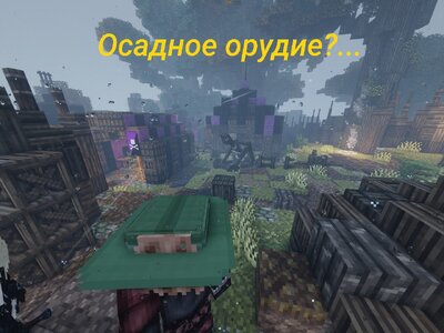 1000006903.jpg