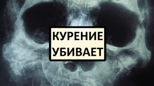 0028d13455be3efa5ba6473fdc553af9.png 0028d13455be3efa5ba6473fdc553af9.png