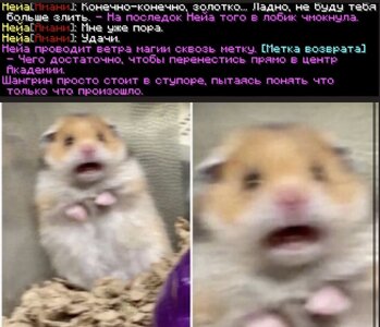 IMG_0096.jpeg