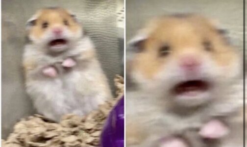 IMG_0037.jpeg
