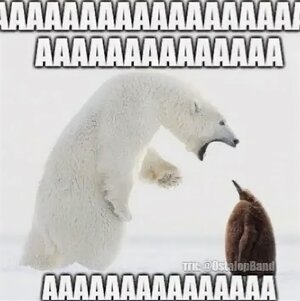 IMG_0076.jpeg