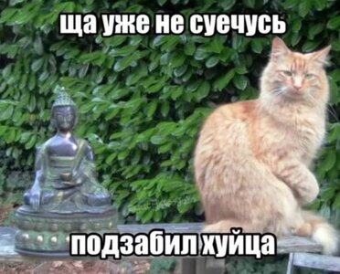 aGgOzhvsMdlPtNQuBZzYjKgdXq09tvc6pNJ-mLH5Ai6lbvhXrSCYh8atjgOX47IkQqO5LFuNow6Iw_0VIwFrdgwd.jpg