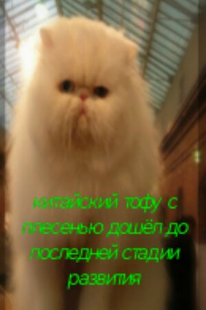Ds2WP3zEay7V6vx7L8OzMzAiWnhqEiLtANzOf5FX00jGM3l0BRfiZAZ3CEAJNp8Up2wQwSG_P8XYE4M5TkNAyTnl.jpg