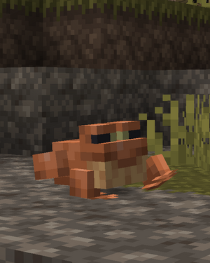 34.png