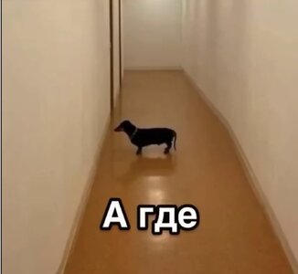 IMG_0104.jpeg