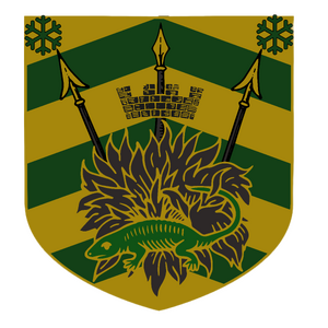 image11 (1).png