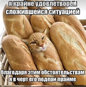IMG_20260703_014535.jpg