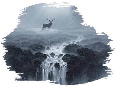 Stag-in-morning-mist-C.png