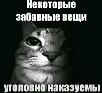 IMG_0230.jpeg