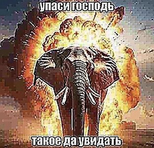 IMG_0257.jpeg